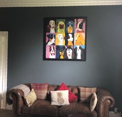 Grey emulsion wall for living room